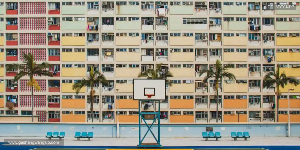 🎾 正品装备,点燃热爱!👟